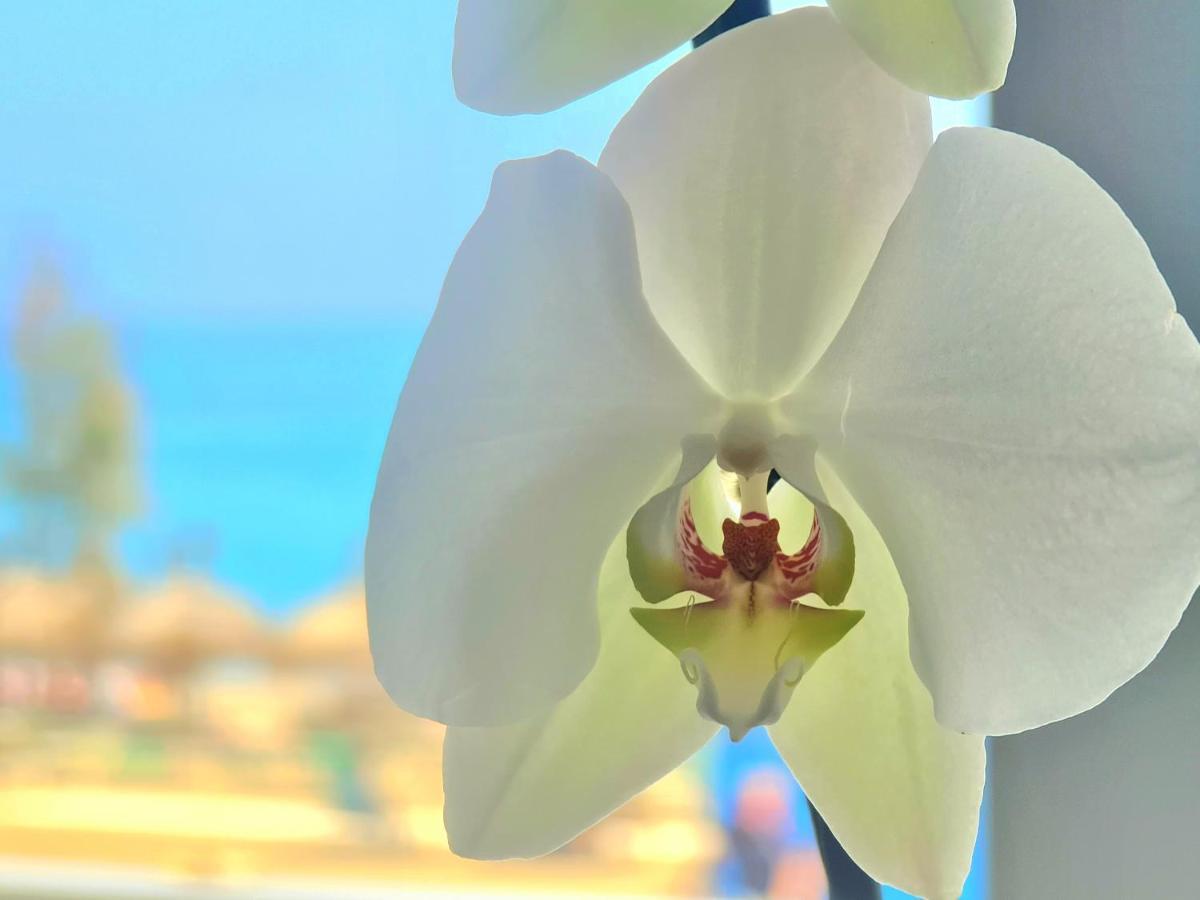 Apartmán 1º Linea De Playa En Pleno Centro De Fuengirola Exteriér fotografie